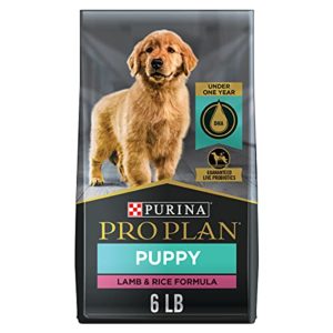 ProPlan x15 kgs cachorros